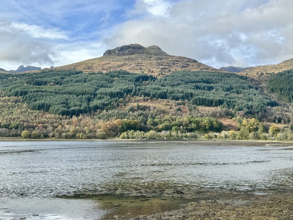 View across Loch to hill rising above shore, covered with pine trees.
