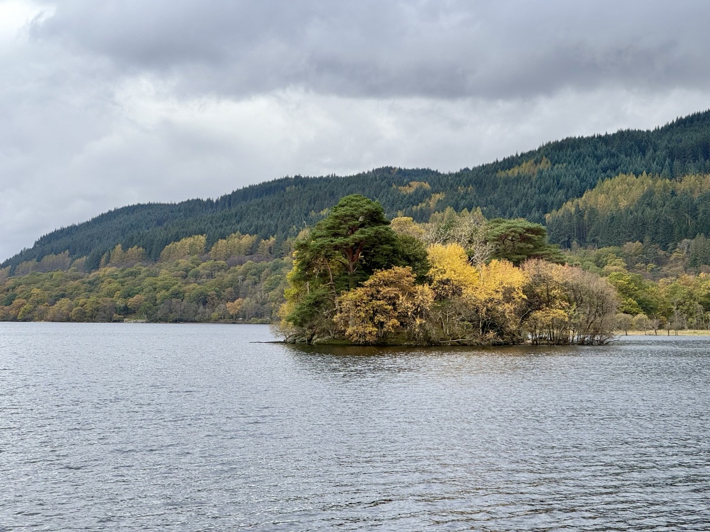view of loch with small tree-laden island in foreground. 