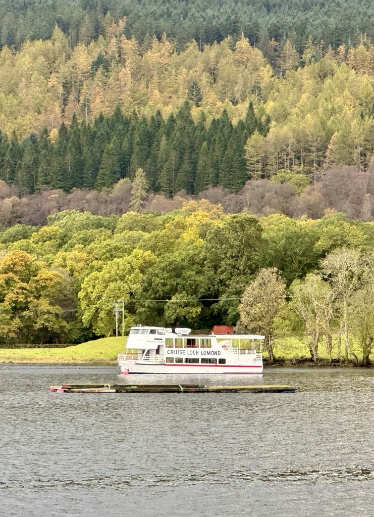 Leisure boat on the loch, near shore of trees on steep hillside.