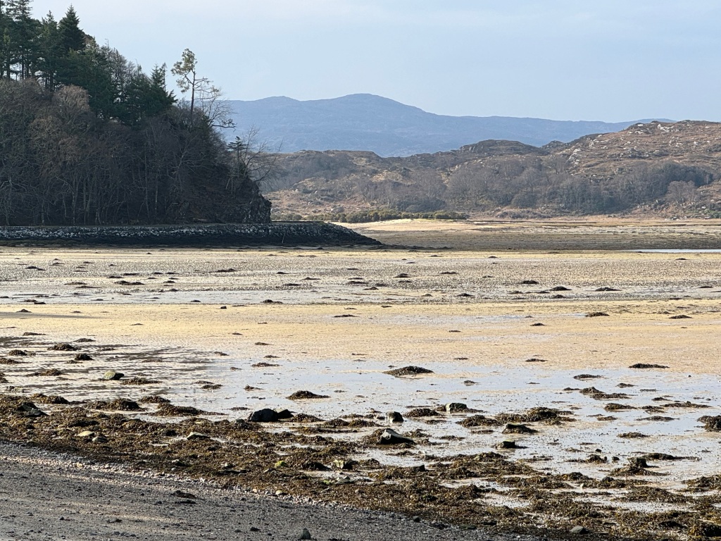 Sand and seaweed left after tide has ebbed. Mountains in distance.