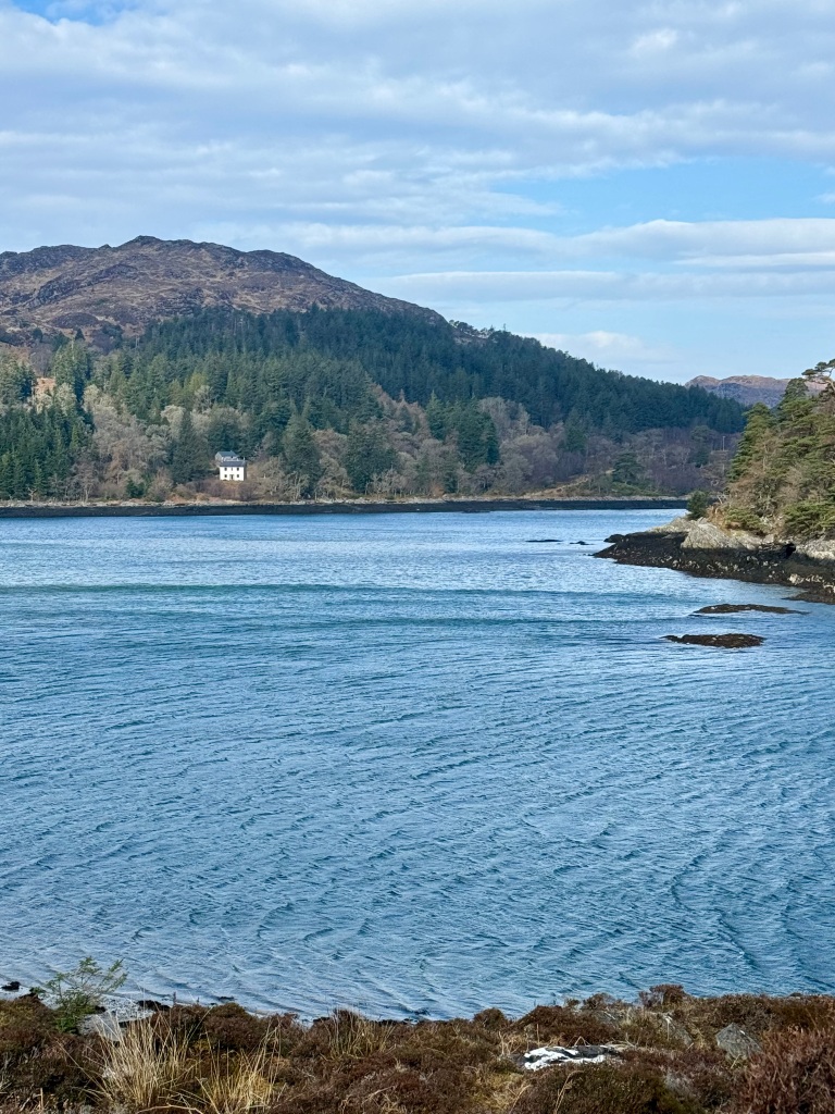 View of loch, showing blue sea and sky, with tree lined mountain to the shore